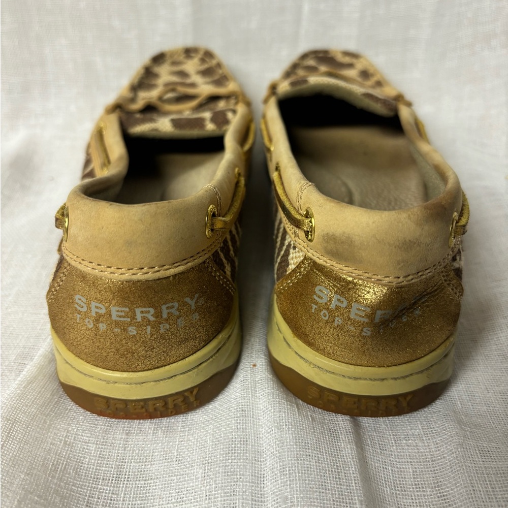Sperry - image 4